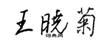 王正良王曉菊行書個性簽名怎么寫