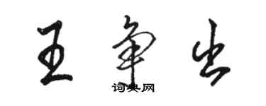 駱恆光王爭出行書個性簽名怎么寫