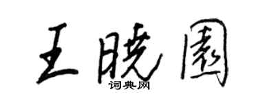 王正良王曉園行書個性簽名怎么寫