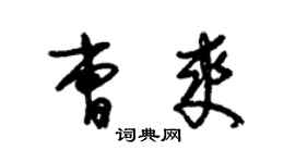 朱錫榮曹爽草書個性簽名怎么寫