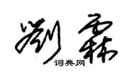朱錫榮劉霖草書個性簽名怎么寫