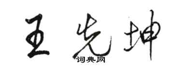 駱恆光王先坤行書個性簽名怎么寫