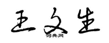 曾慶福王文生草書個性簽名怎么寫