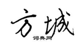 王正良方城行書個性簽名怎么寫