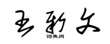 朱錫榮王新文草書個性簽名怎么寫