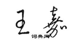 駱恆光王嘉草書個性簽名怎么寫