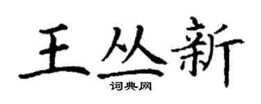 丁謙王叢新楷書個性簽名怎么寫