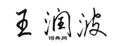 駱恆光王潤波行書個性簽名怎么寫