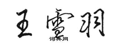 駱恆光王雪羽行書個性簽名怎么寫