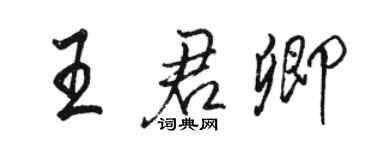 駱恆光王君卿行書個性簽名怎么寫
