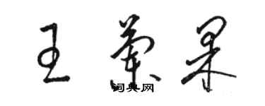 駱恆光王蘭果草書個性簽名怎么寫