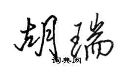 駱恆光胡瑞行書個性簽名怎么寫