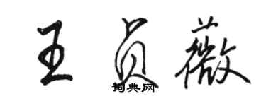 駱恆光王貞薇行書個性簽名怎么寫