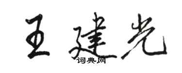 駱恆光王建光行書個性簽名怎么寫