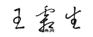 駱恆光王霜生草書個性簽名怎么寫