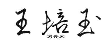 駱恆光王培玉行書個性簽名怎么寫