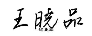 王正良王曉品行書個性簽名怎么寫