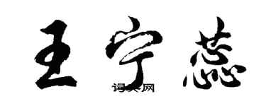 胡問遂王寧蕊行書個性簽名怎么寫