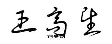 曾慶福王高望草書個性簽名怎么寫