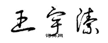 曾慶福王宇潔草書個性簽名怎么寫