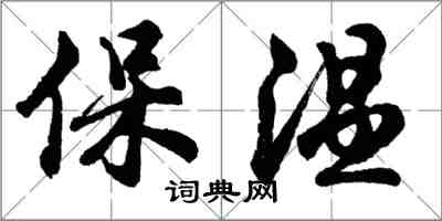 胡問遂保溫行書怎么寫