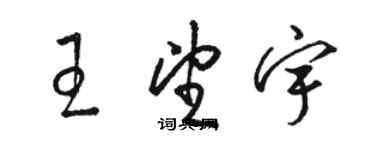 駱恆光王望宇草書個性簽名怎么寫