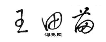 駱恆光王田苗草書個性簽名怎么寫