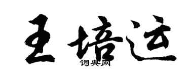 胡問遂王培運行書個性簽名怎么寫