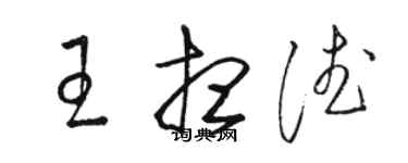 駱恆光王想德草書個性簽名怎么寫