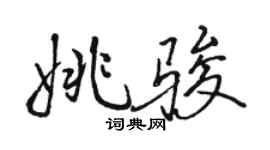 駱恆光姚駿行書個性簽名怎么寫
