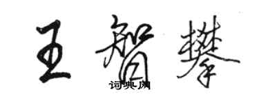 駱恆光王智攀行書個性簽名怎么寫