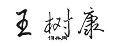 駱恆光王樹康行書個性簽名怎么寫