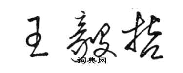 駱恆光王毅哲草書個性簽名怎么寫