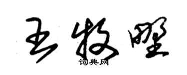 朱錫榮王牧野草書個性簽名怎么寫