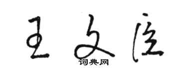 駱恆光王文臣草書個性簽名怎么寫