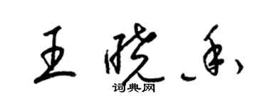 梁錦英王曉香草書個性簽名怎么寫