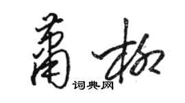 駱恆光蕭柳草書個性簽名怎么寫