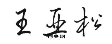 駱恆光王亞松行書個性簽名怎么寫