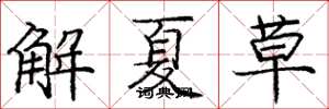 龐中華解夏草楷書怎么寫