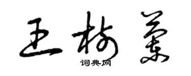 曾慶福王樹蘭草書個性簽名怎么寫