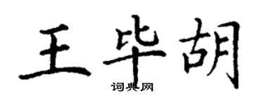 丁謙王畢胡楷書個性簽名怎么寫