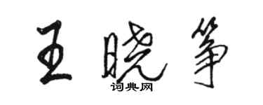 駱恆光王曉箏行書個性簽名怎么寫