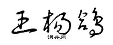 曾慶福王楊鴿草書個性簽名怎么寫