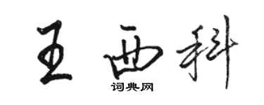 駱恆光王西科行書個性簽名怎么寫