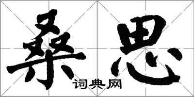 翁闓運桑思楷書怎么寫