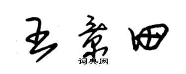 朱錫榮王景田草書個性簽名怎么寫