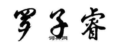 胡問遂羅子睿行書個性簽名怎么寫