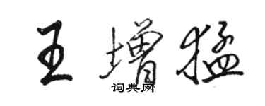 駱恆光王增猛行書個性簽名怎么寫