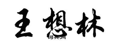 胡問遂王想林行書個性簽名怎么寫