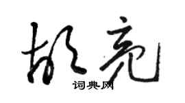 駱恆光胡亮草書個性簽名怎么寫